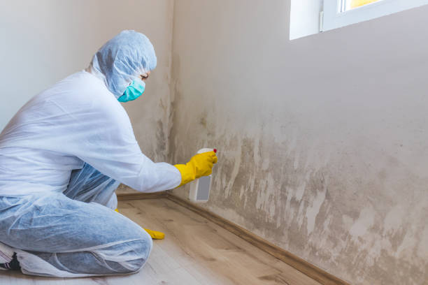 Mold inspector in Highland performing thermal imaging