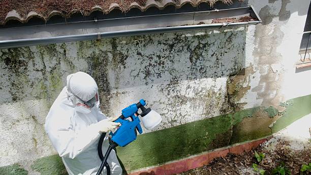 Mold Remediation service in Highland, Highland, MD